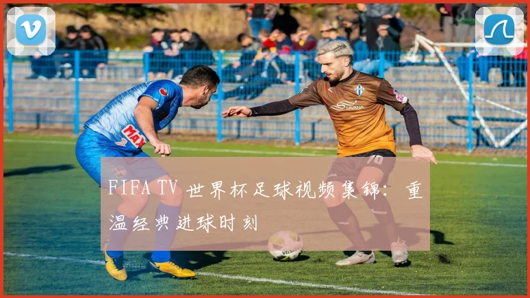 FIFA TV 世界杯足球视频集锦：重温经典进球时刻