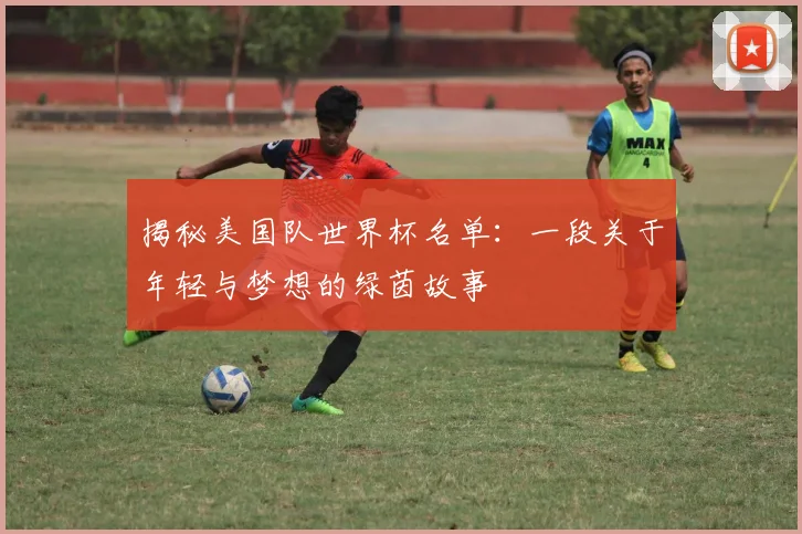 揭秘美国队世界杯名单：一段关于年轻与梦想的绿茵故事
