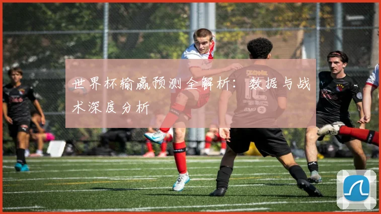 世界杯输赢预测全解析：数据与战术深度分析