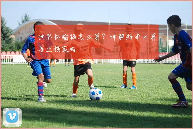 世界杯输钱怎么算？详解赔率计算与止损策略