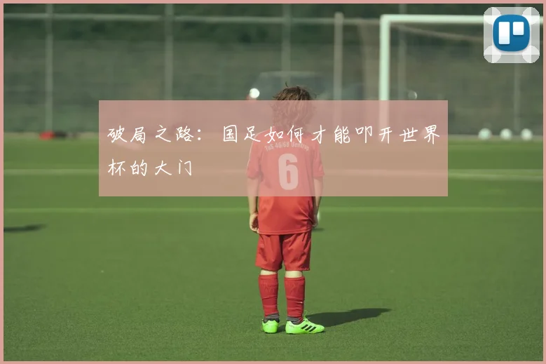 破局之路:国足如何才能叩开世界杯的大门
